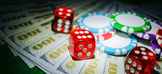 AVOCADO CASINO